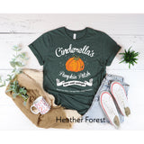 Cinderella's Pumpkin Patch