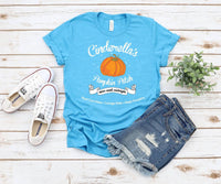 Cinderella's Pumpkin Patch