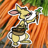 Garden Rabbit doodle Magnet