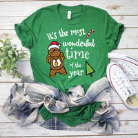 Most wonderful time of the year Christmas shirt