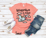 Wingardium Leviosa / Lucky Feather shirt